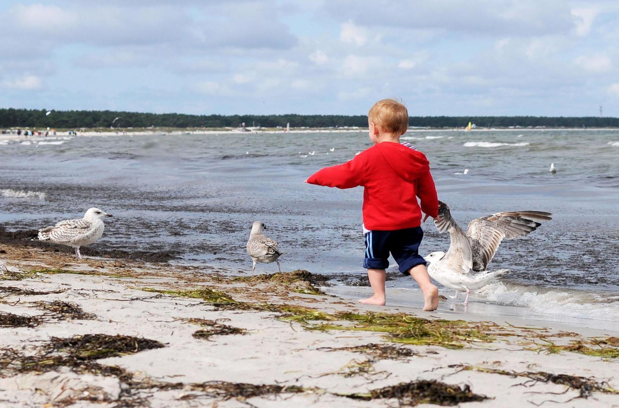 Leuchtturm An Der Seebruecke Zingst Esterno foto